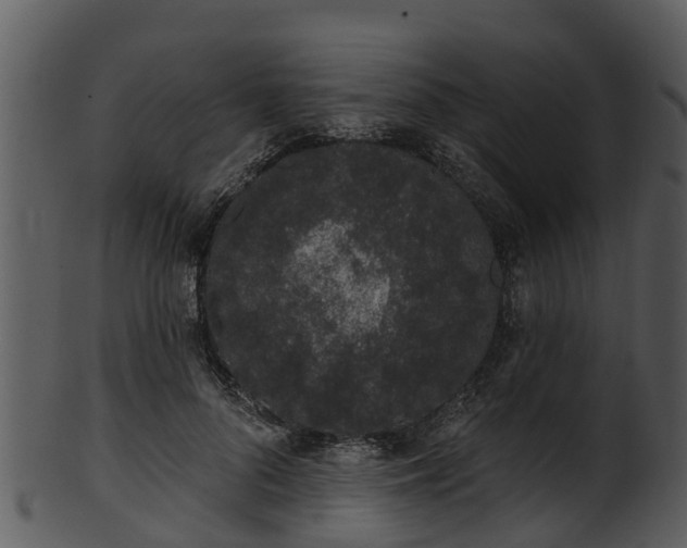 X0000101420696200807141154