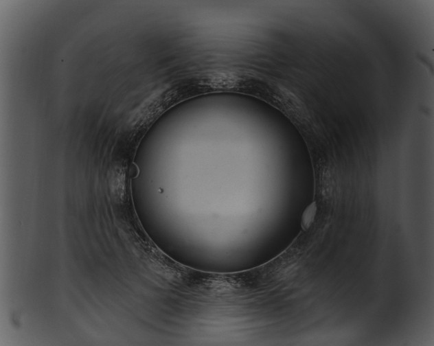 X0000101420697200807141154