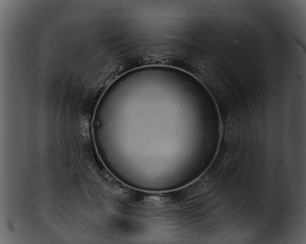 X0000101420699200807141154