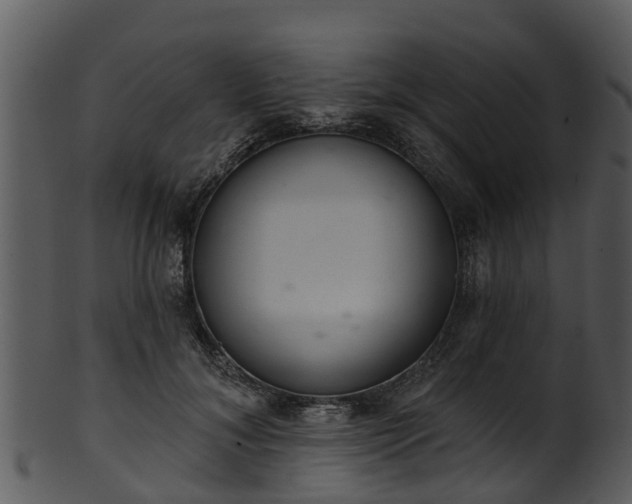 X0000101420700200807141154