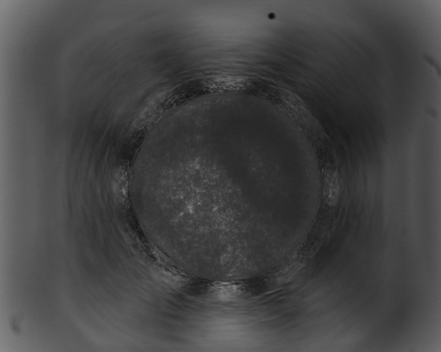 X0000101420701200807141154