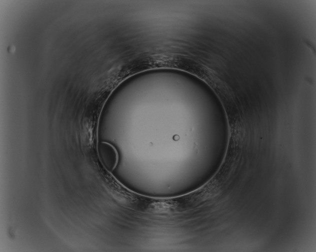 X0000101420703200807141154