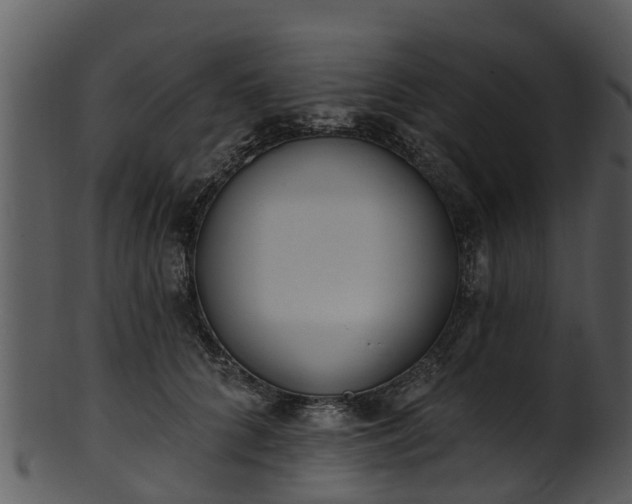 X0000101420704200807141154
