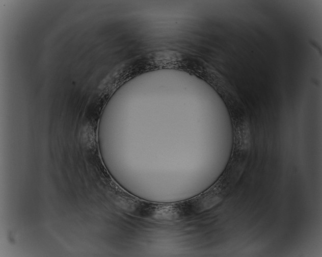 X0000101420705200807141154