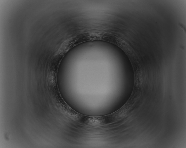 X0000101420706200807141154