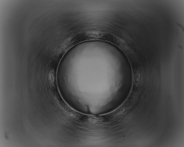 X0000101420707200807141154