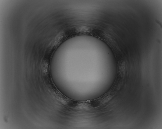 X0000101420708200807141154