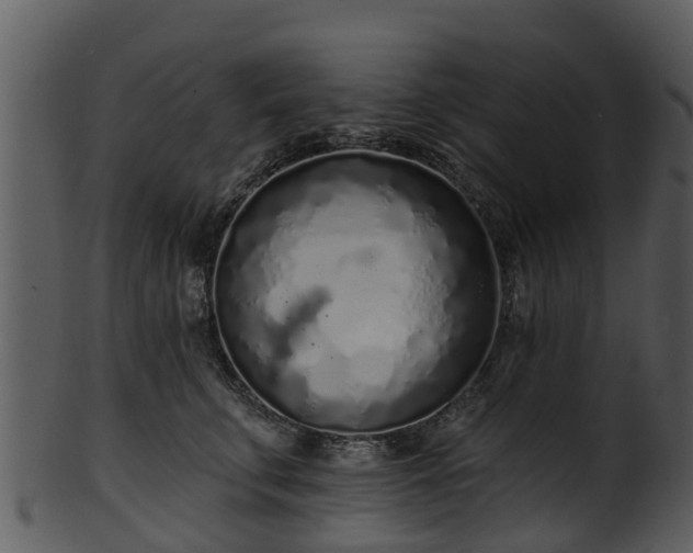 X0000101420711200807141154