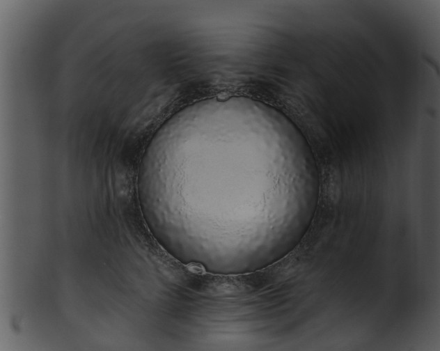 X0000101420712200807141154