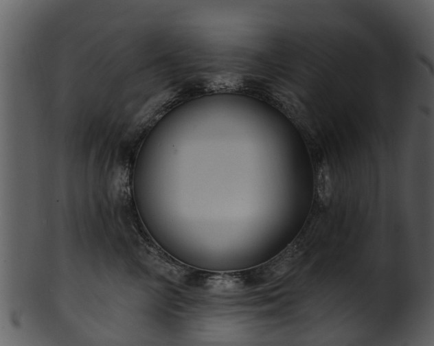 X0000101420714200807141154