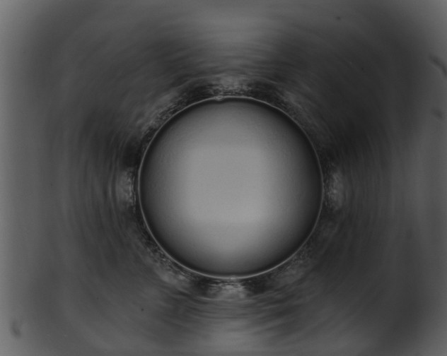 X0000101420715200807141154