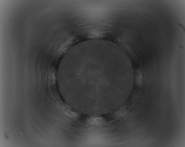 X0000101420716200807141154