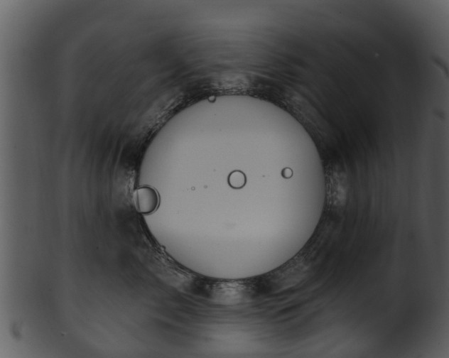 X0000101420717200807141154