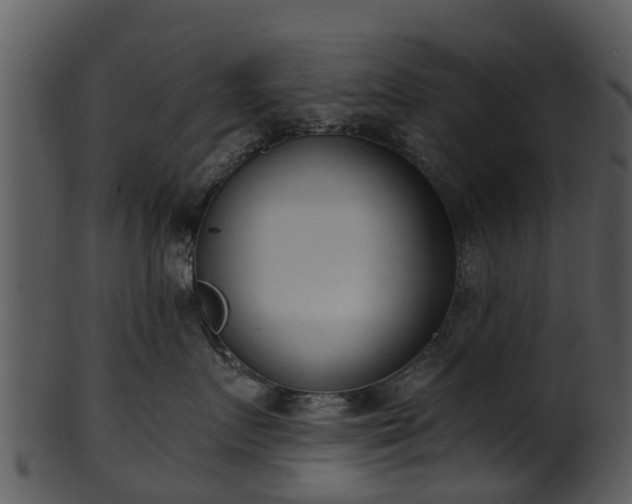 X0000101420719200807141154