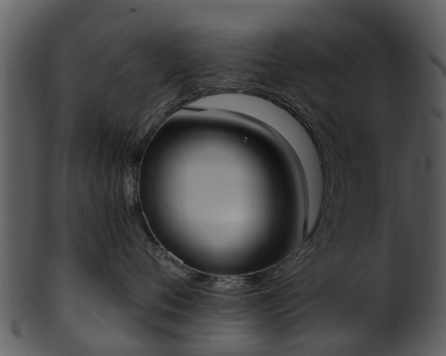 X0000101420720200807141154