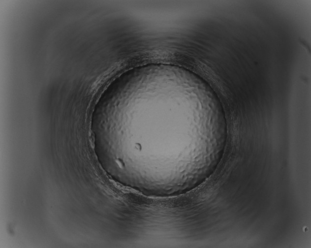 X0000101420721200807141153
