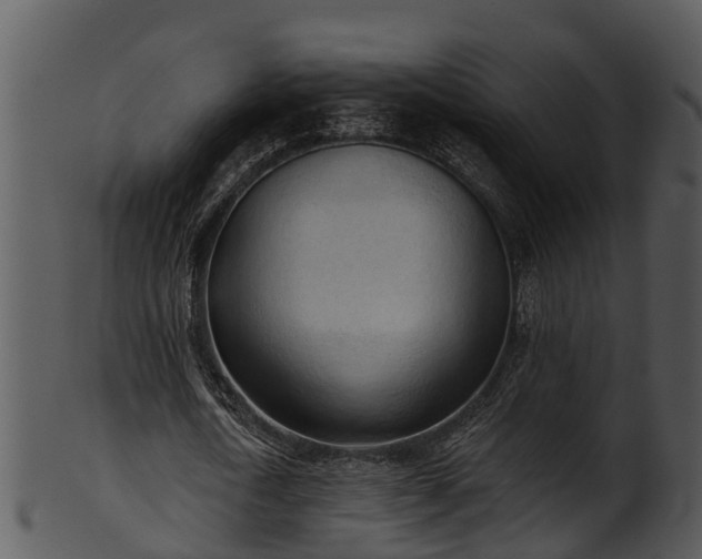 X0000101420722200807141153