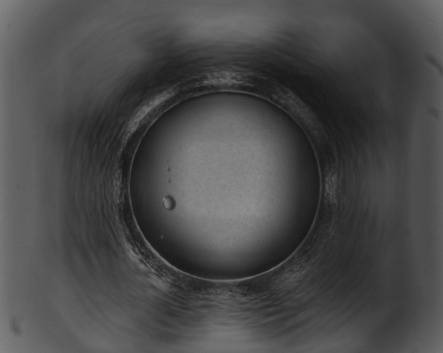 X0000101420724200807141153
