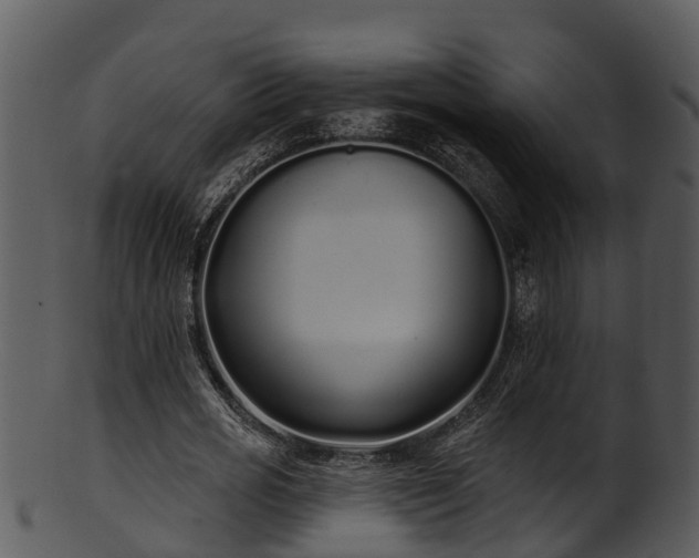X0000101420725200807141153