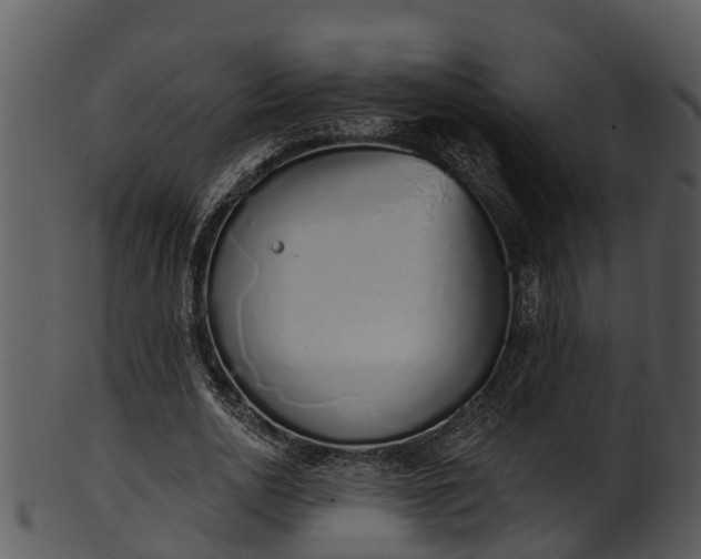X0000101420726200807141153