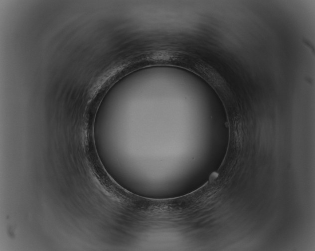 X0000101420728200807141153