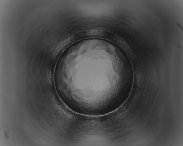 X0000101420729200807141153
