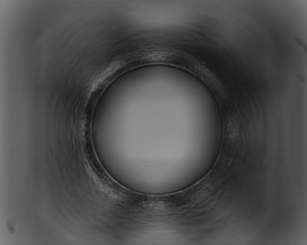 X0000101420730200807141154