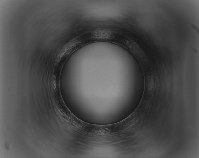 X0000101420731200807141154