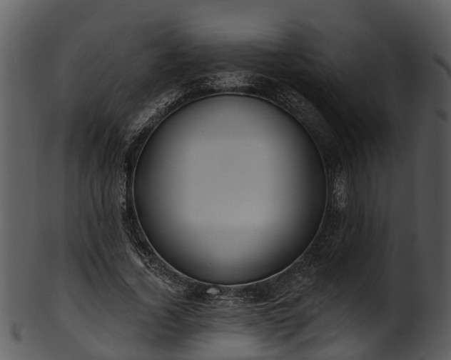 X0000101420732200807141154