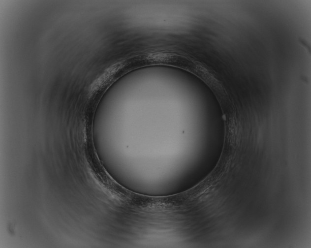 X0000101420734200807141154