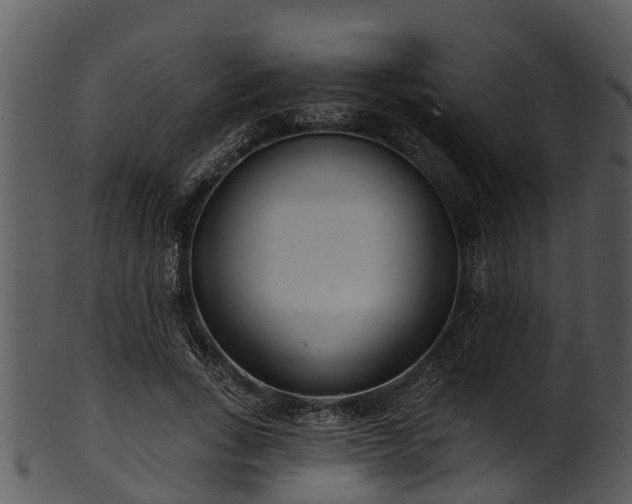 X0000101420735200807141154