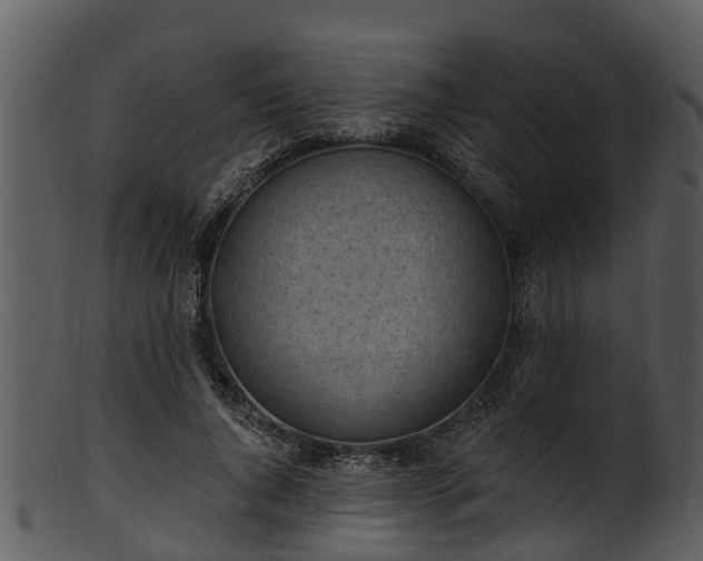X0000101420736200807141154