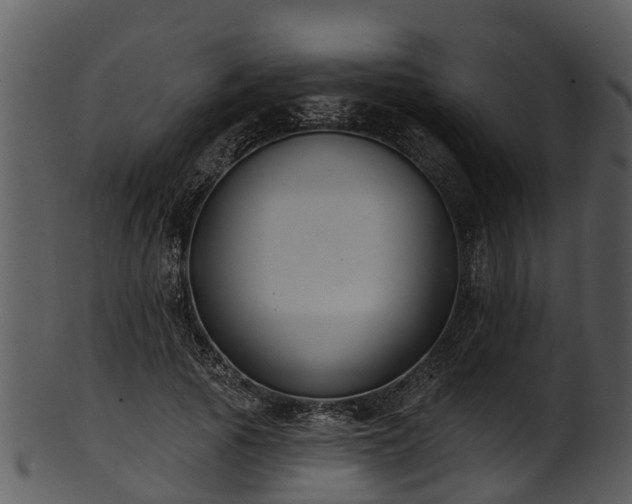 X0000101420737200807141154