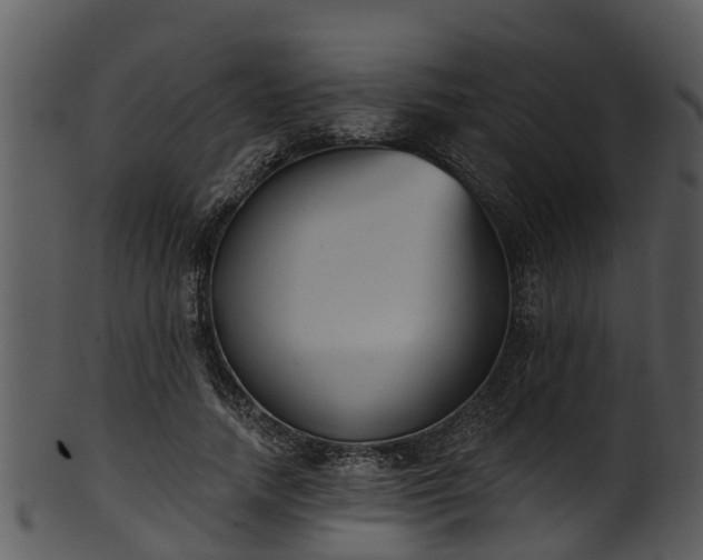 X0000101420738200807141154