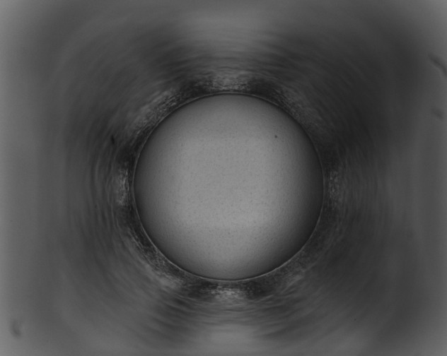 X0000101420741200807141154