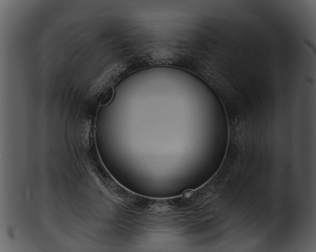 X0000101420742200807141154