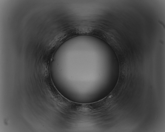 X0000101420743200807141154