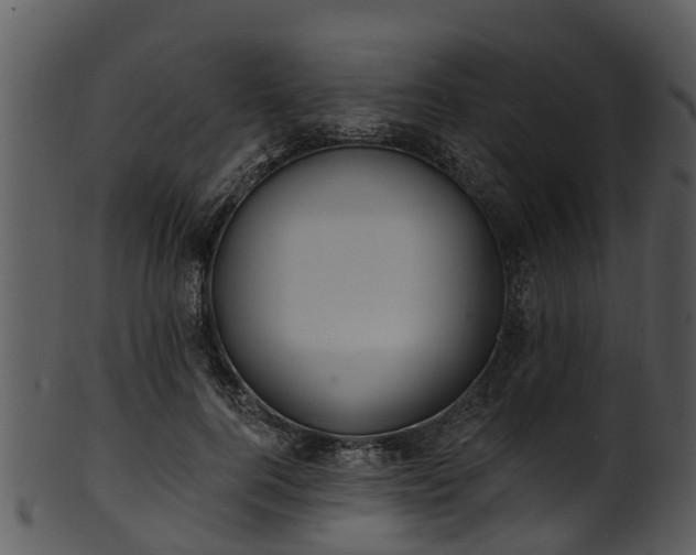 X0000101420744200807141154