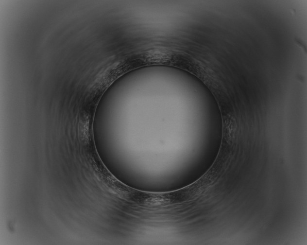 X0000101420745200807141154