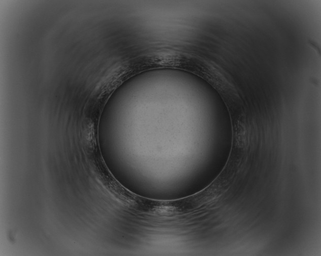 X0000101420748200807141154