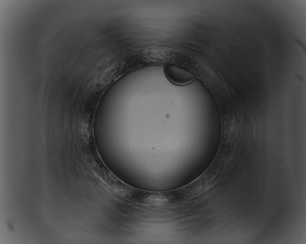 X0000101420749200807141154