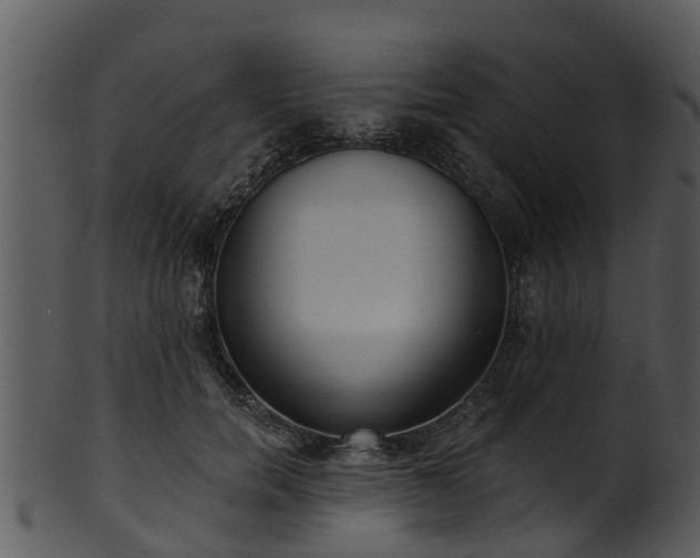 X0000101420750200807141154