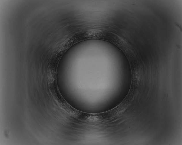 X0000101420751200807141154