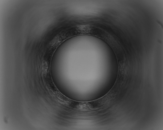 X0000101420752200807141154
