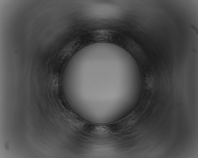 X0000101420753200807141154
