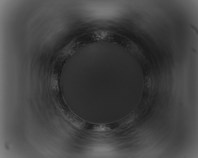 X0000101420754200807141154