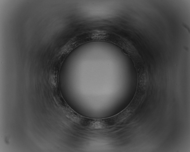 X0000101420755200807141154