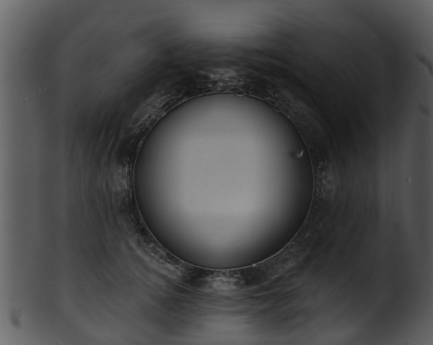 X0000101420756200807141154