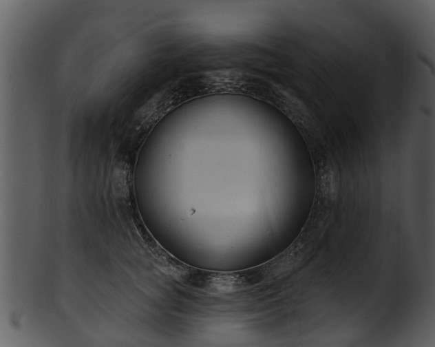 X0000101420757200807141154