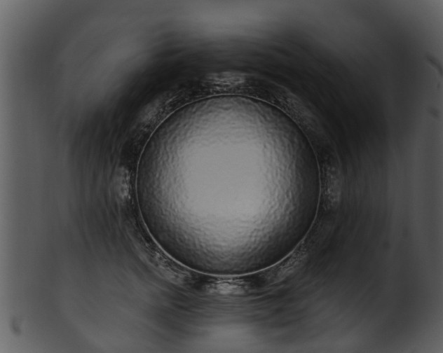 X0000101420758200807141154